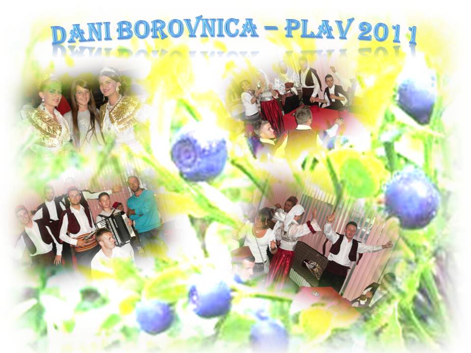 DANI BOROVNICA - PLAV Juli 2011 Plav2