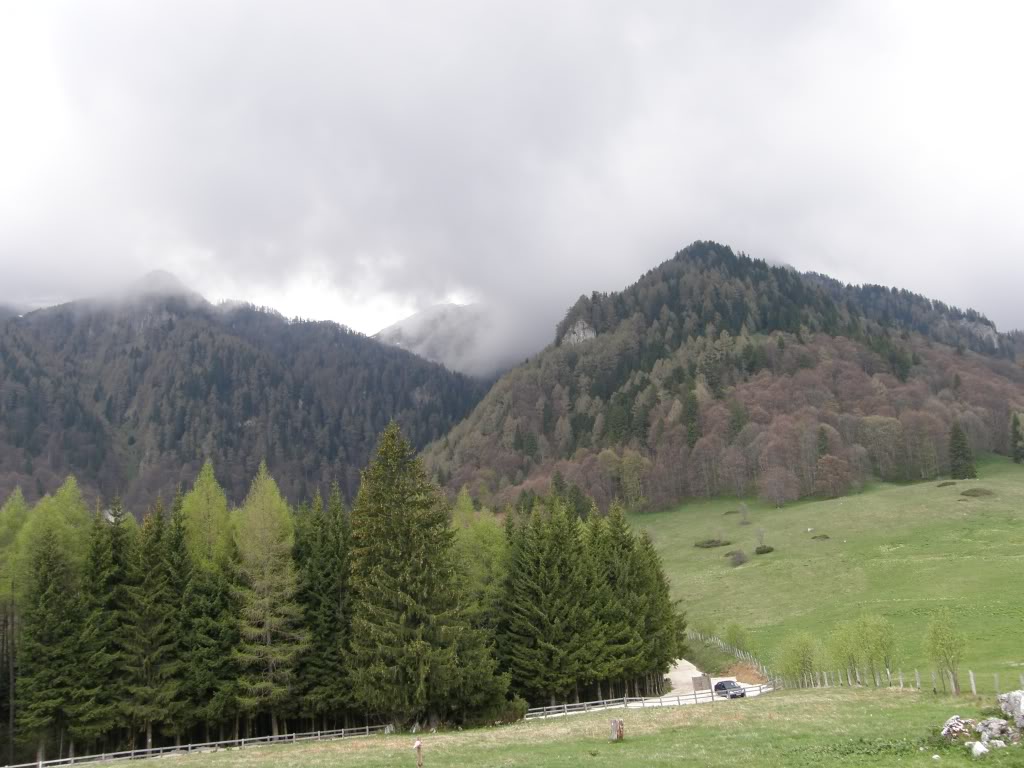  SINAIA (PH) POIANASTANII