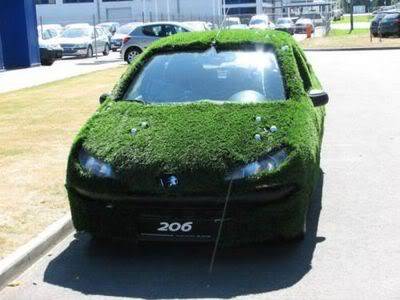 Covered Cars Pics_Peugeot_Grass_Car_2