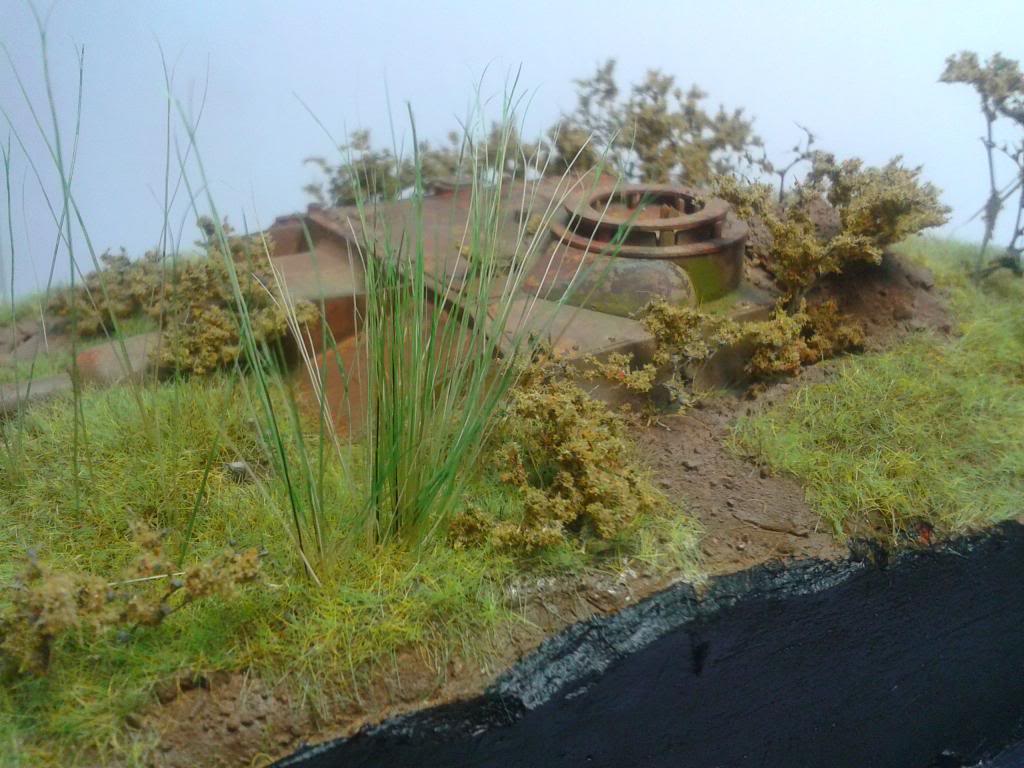 Stug rescatado            2012-11-07233056