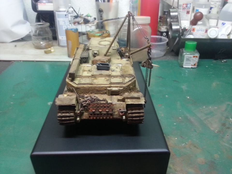 BERGEPANZER TIGER P 20130330_102856_zpsebaf9fa2