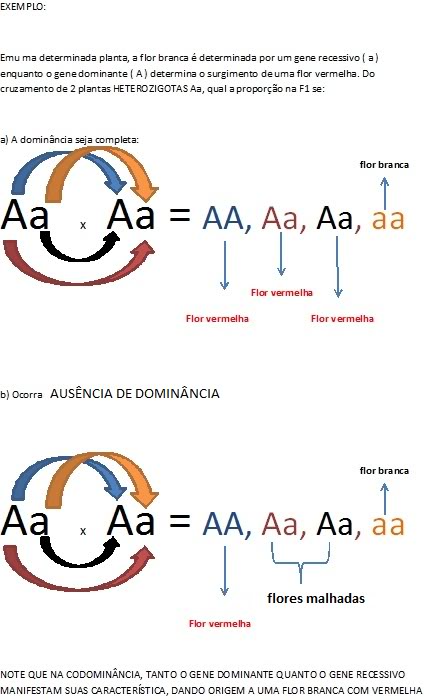 Questão sobre herança humana GENTICA2