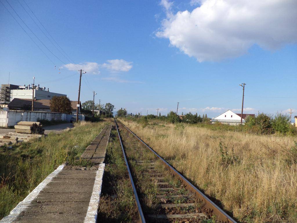 1622 Timisoara N.-Aradu Nou-Deva-Sibiu-Brasov-Bucuresti DSC03805_zpsb3347a12