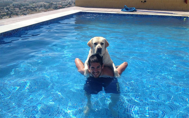 Isco has a dog named... Isco_Messi_zpse5f68087