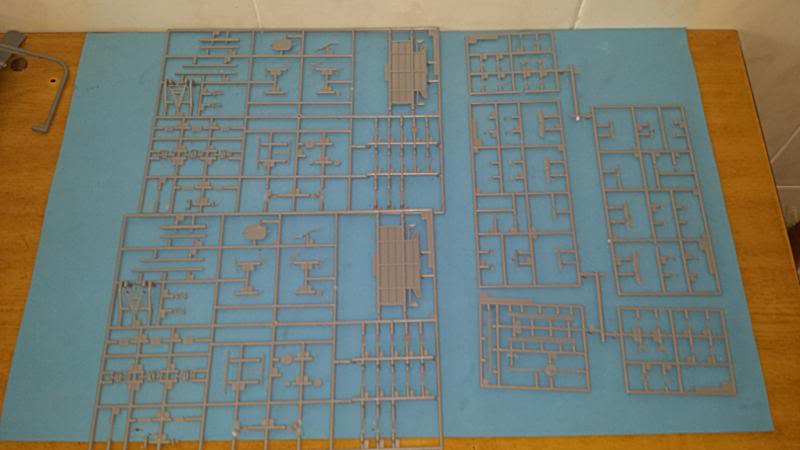 IJN NAGATO 1/350 HASEGAWA CON FG,S LION ROAR.avances 1-09-13 20130827_110444