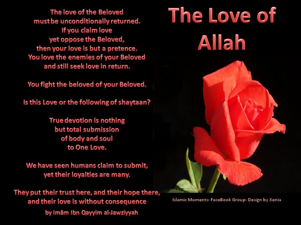 The Gaze of Love is Something Else: The Role of Love in the Qur'anic Worldview LOVEOFALLAH1-1