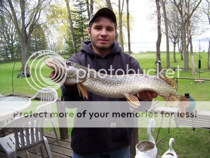 Yesterday and today at Fox Lake Picture259