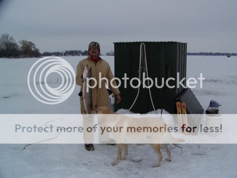 my dad's pike Picture874