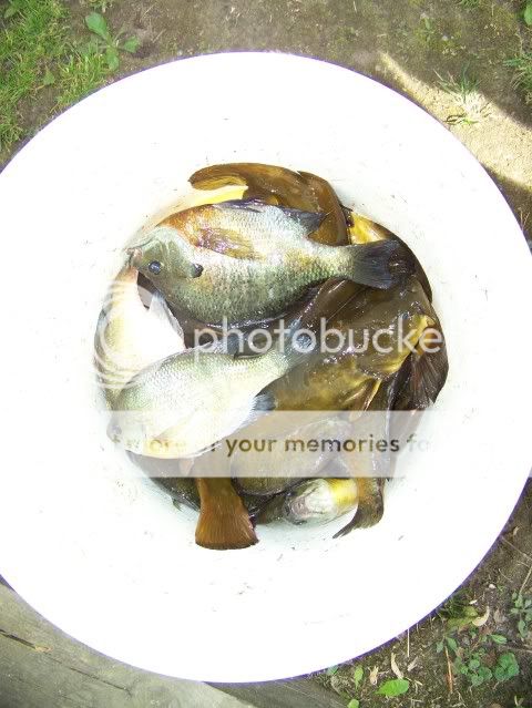 couples fish at Fox Lake Hjg010