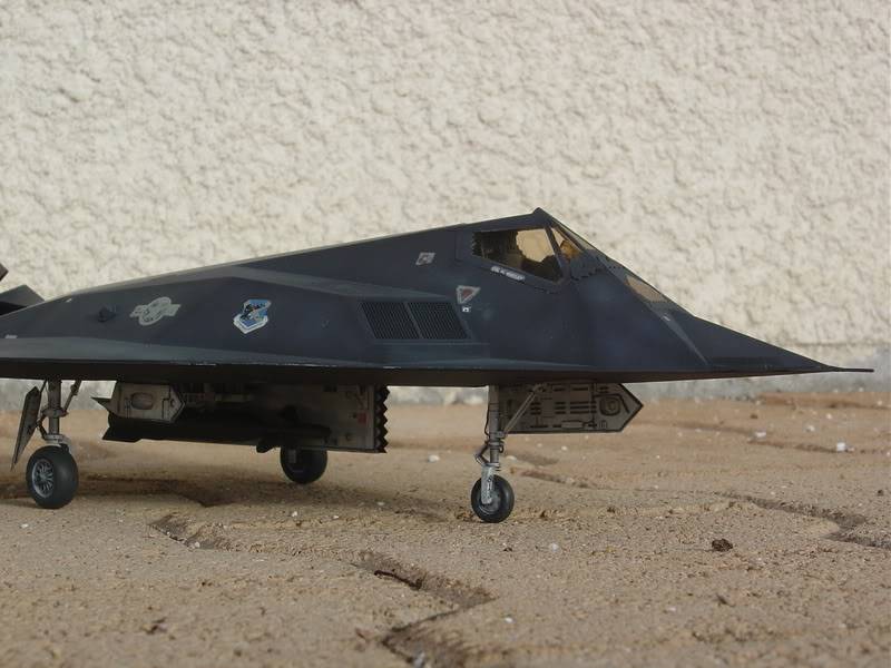 1/48 Academy F117A DSC02411