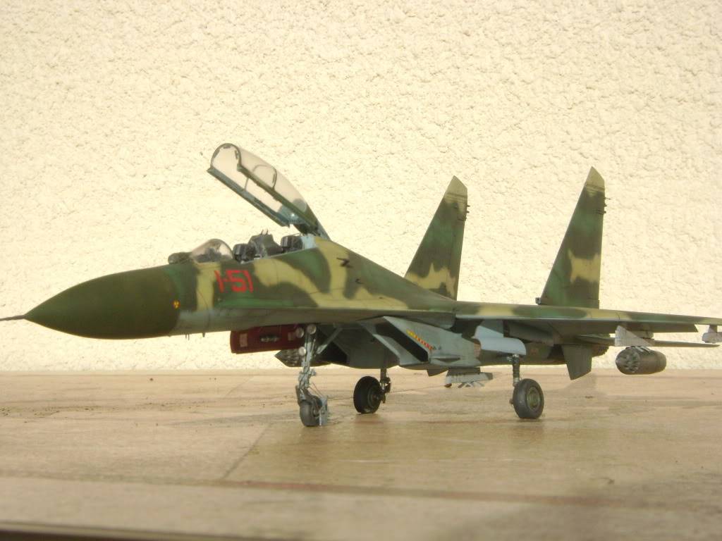 Sukhoï Su-27UB Angola - Page 2 DSC00815