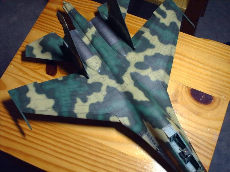 Su27 UB Flanker Angolais  [Academy] 1/48 - Page 6 HPIM1073