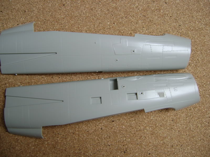 [Comparatif] F-14A Tomcat  [Tamyia/Revell] DSC00293