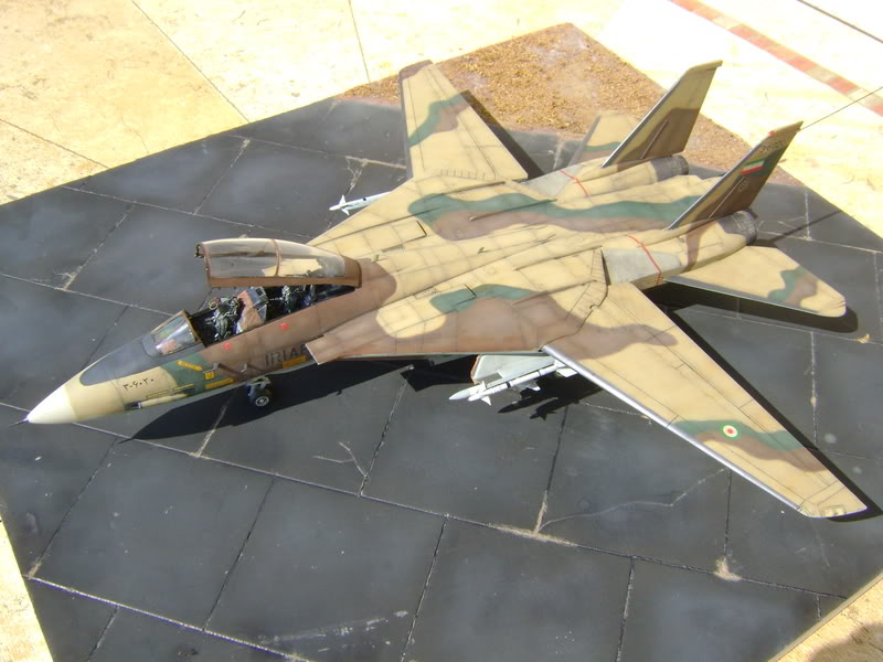 1/48 F14A Tomcat Iranien DSC00442