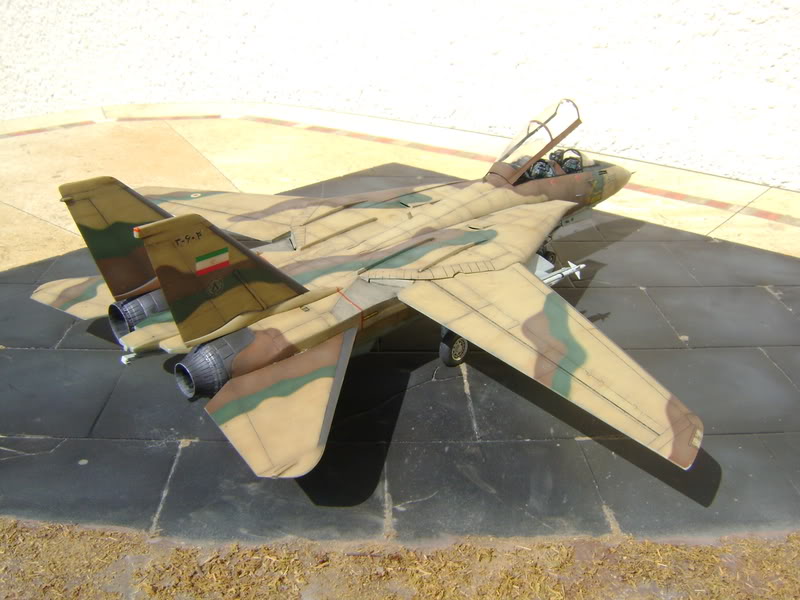 1/48 F14A Tomcat Iranien DSC00445