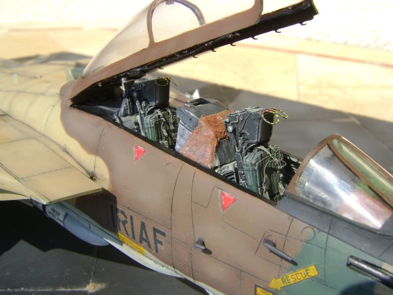 1/48 F14A Tomcat Iranien DSC00450