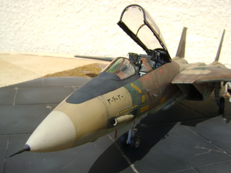 1/48 F14A Tomcat Iranien DSC00456