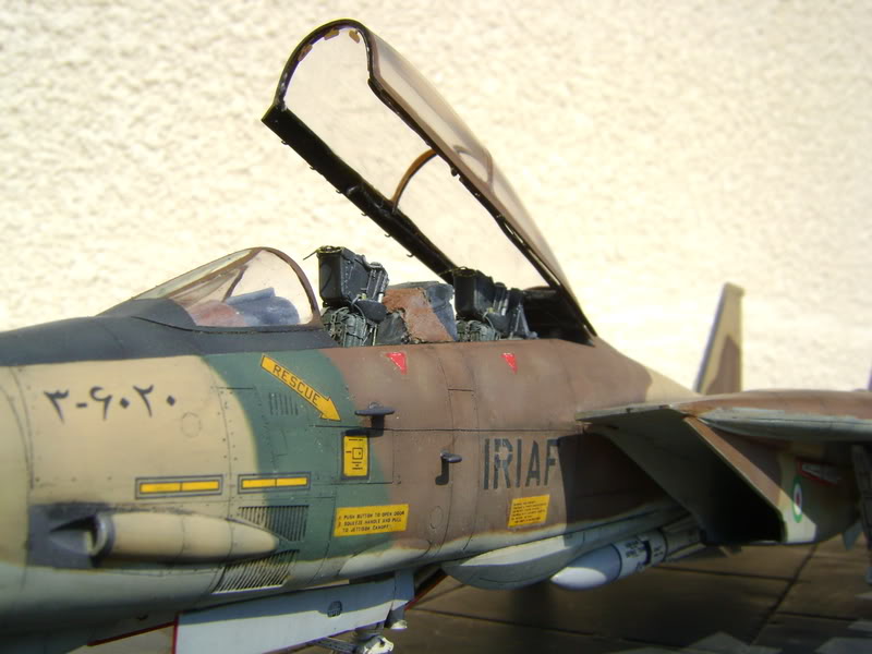 1/48 F14A Tomcat Iranien DSC00470