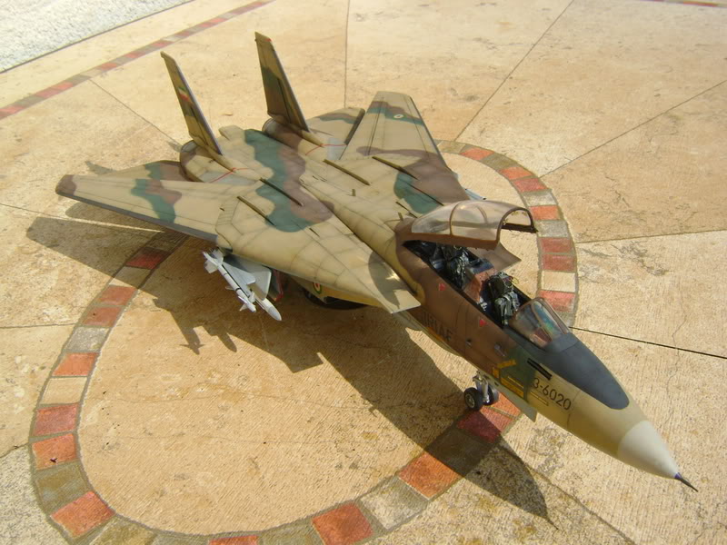 1/48 F14A Tomcat Iranien DSC00471