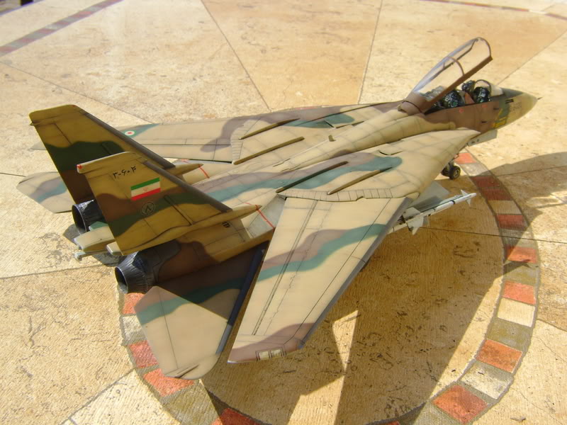 1/48 F14A Tomcat Iranien DSC00473