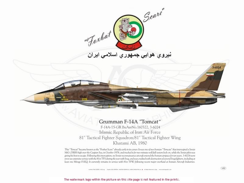 1/48 TRUE DETAILS F-14 Cockpit set Resizeimage_manager