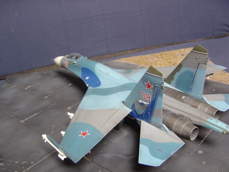 Sukhoi Flanker! DSC02206