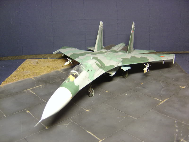 Su-27 Eritréen - Page 2 DSC02297