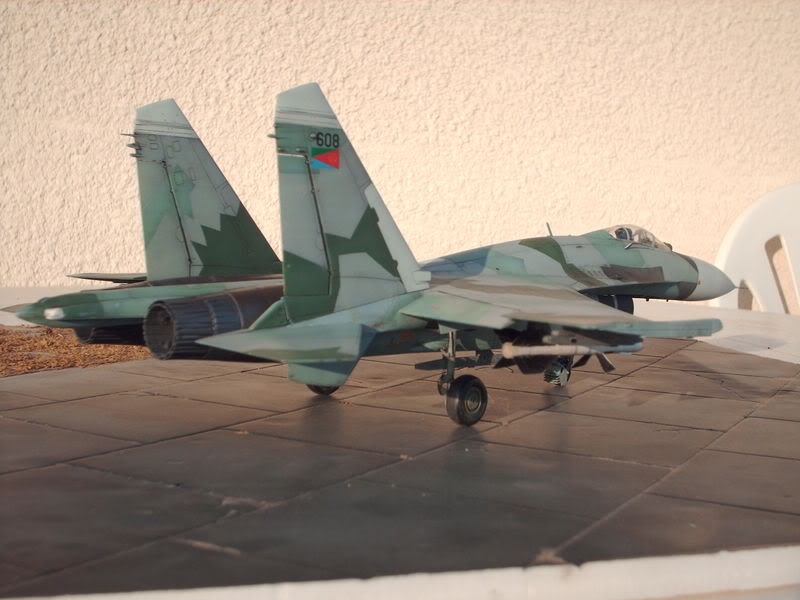 Su-27 Eritréen HPIM0863