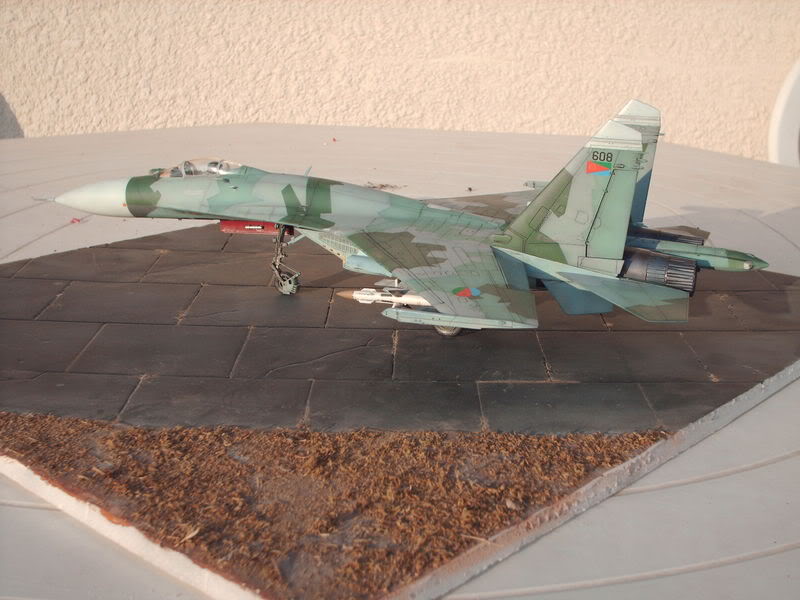 Su-27 Eritréen HPIM0866