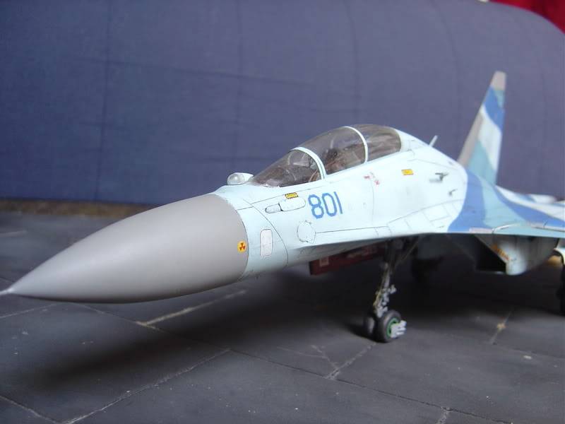 Sukhoi Flanker! DSC02169