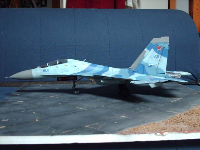 Sukhoi Flanker! HPIM0677