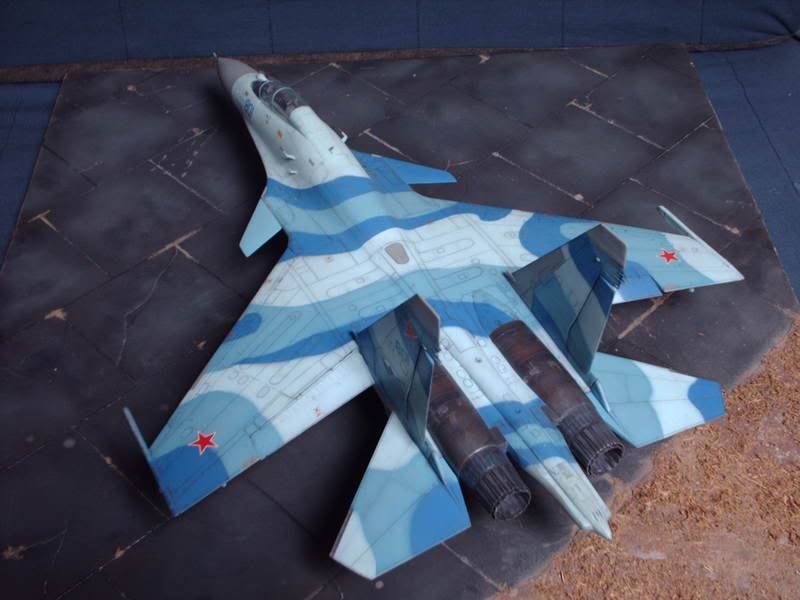 Sukhoi Flanker! HPIM0681