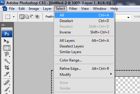 Guide - Simple GFX Tutorial [Photoshop CS3] Selection