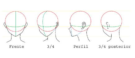 como dibujar partes del rostro  Cabeza2