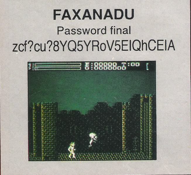 FAXANDU NES Faxandu