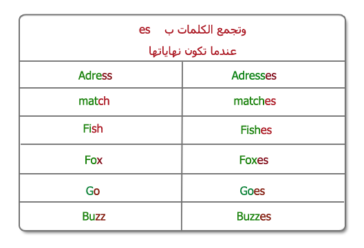 المفرد والجمع وترتيب الكلمات باللأنجليزيه 2