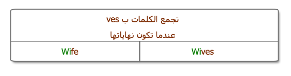 المفرد والجمع وترتيب الكلمات باللأنجليزيه 3-1