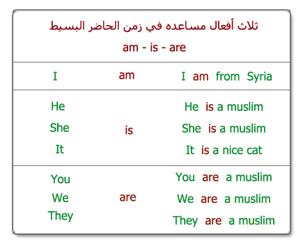 الحاضر البسيط 1  The simple present Amareis