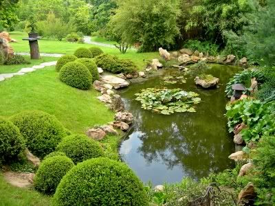 Pequeño lago Instalando-una-fuente-tipo-estanque-en-su-jardn1