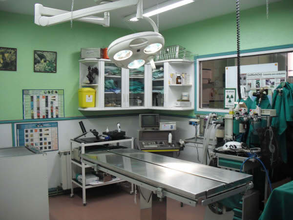 Sala de tratamiento Clinica3