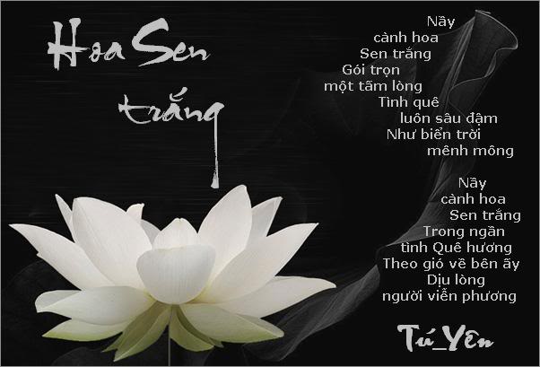 Chuyện Tình Của Lính - Page 2 HoaSentrang