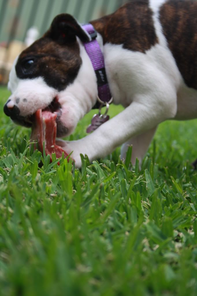 My first Bone IMG_5579