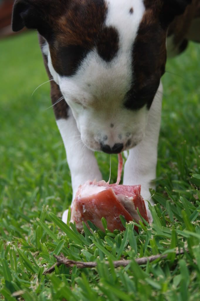 My first Bone IMG_5582