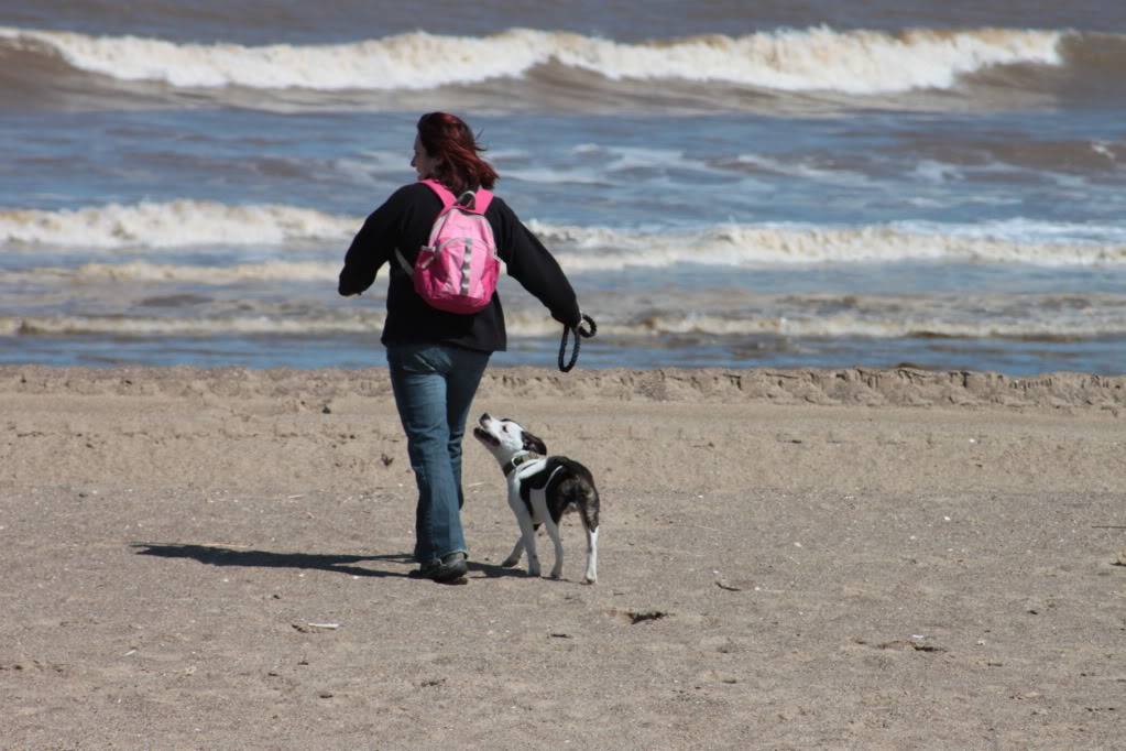 Neville's first trip to the beach! IMG_3903