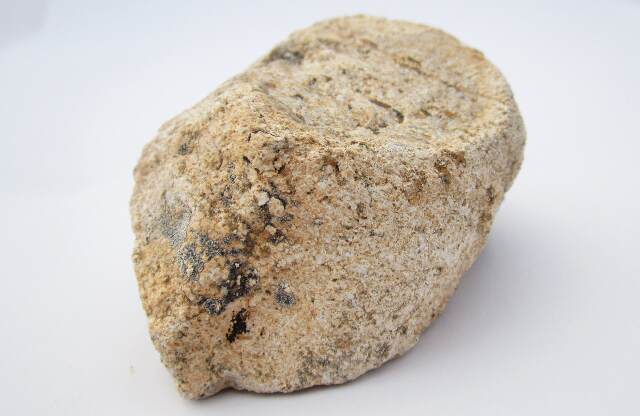 posible esponja fosilizada u otro fósil ?? IMG_4395