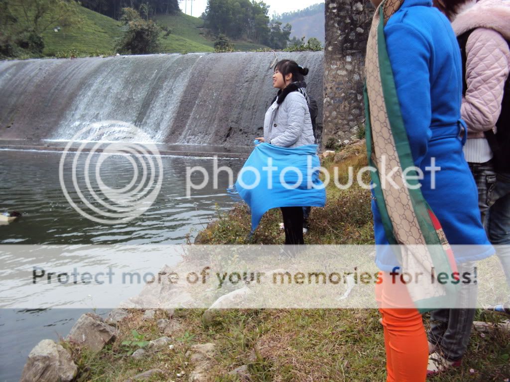 NGÀY VÀNG VÀ NHỮNG KHOẢNH KHẮC .... DSC07013