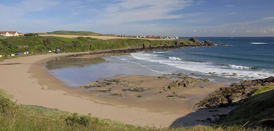 Out of town - Page 2 Coldingham-bay-large-1