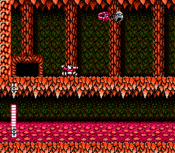 Blaster Master L71