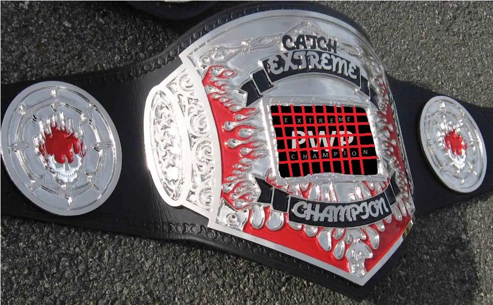 PWP Titles Icwa21