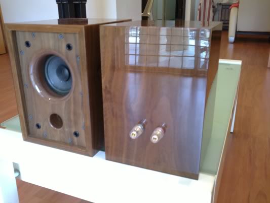 Aura Dual Cone Single Driver Speakers (New) SOLD Aura3